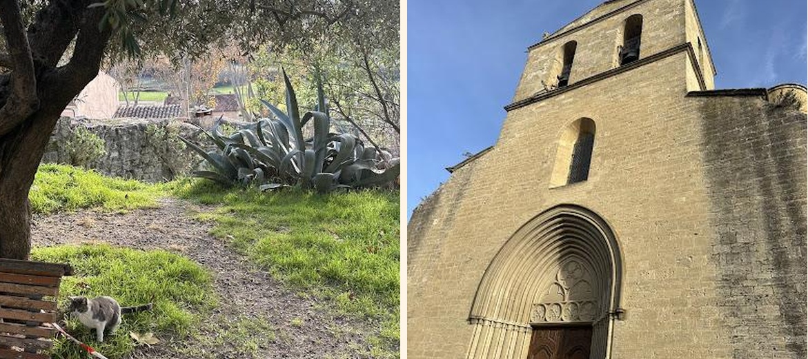 La Dame Jeanne - Gallery Image 3