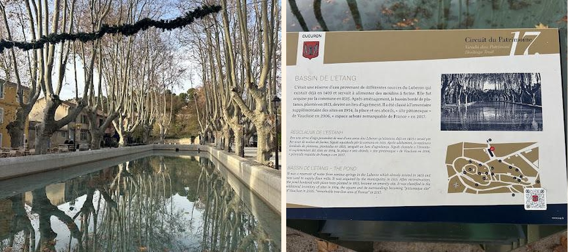 La Dame Jeanne - Gallery Image 6